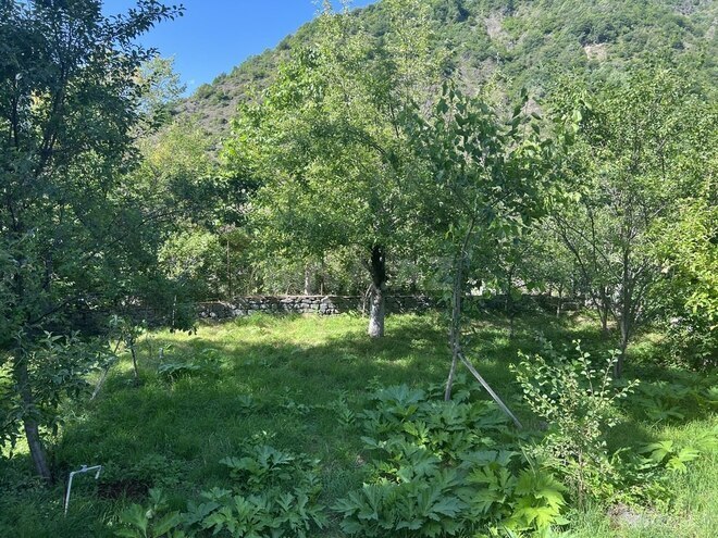 3 otaqlı həyət evi/bağ evi - Qax - 100 m² (19)