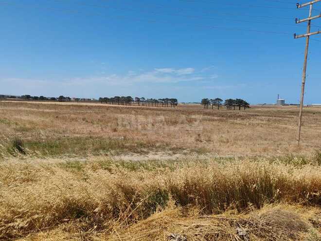 Satılır  torpaq 500 sot, Abşeron r., photo 11 from 14