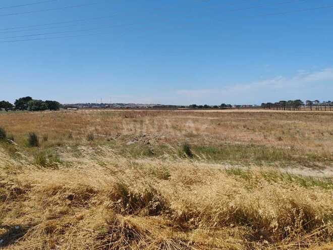 Satılır  torpaq 500 sot, Abşeron r., photo 13 from 14