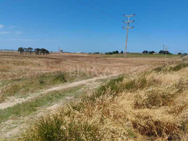 Satılır  torpaq 500 sot, Abşeron r., photo 7 from 14