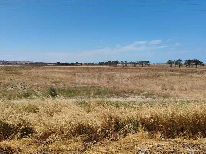 Satılır  torpaq 500 sot, Abşeron r., photo 12 from 14