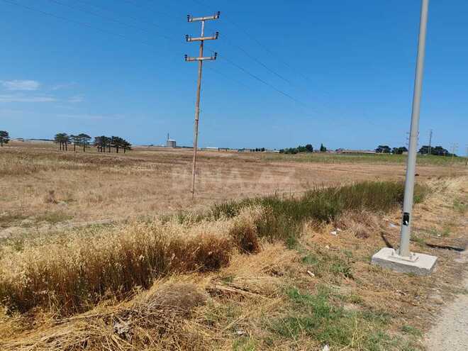 Satılır  torpaq 500 sot, Abşeron r., photo 10 from 14