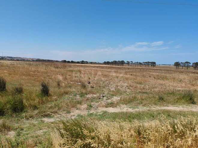 Satılır  torpaq 500 sot, Abşeron r., photo 5 from 14