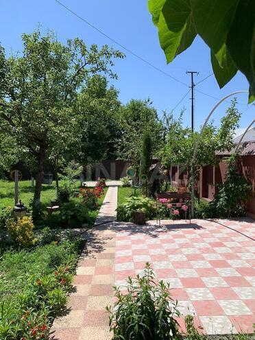 5 otaqlı həyət evi/bağ evi - Qəbələ - 120 m² (8)