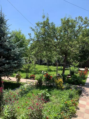 5 otaqlı həyət evi/bağ evi - Qəbələ - 120 m² (7)