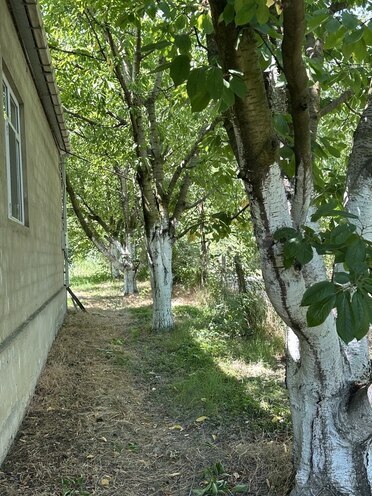 4 otaqlı həyət evi/bağ evi - Xaçmaz - 126 m² (11)