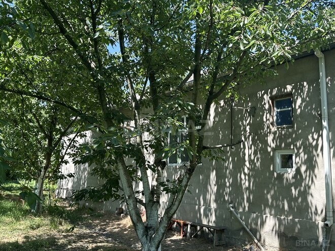 4 otaqlı həyət evi/bağ evi - Xaçmaz - 126 m² (2)