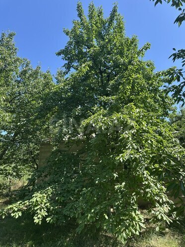 4 otaqlı həyət evi/bağ evi - Xaçmaz - 126 m² (18)