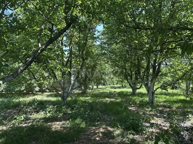 4 otaqlı həyət evi/bağ evi - Xaçmaz - 126 m² (17)