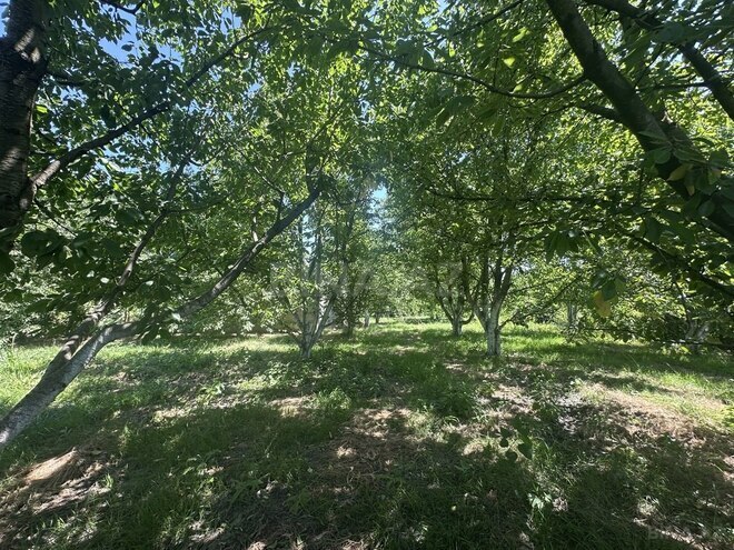 4 otaqlı həyət evi/bağ evi - Xaçmaz - 126 m² (16)