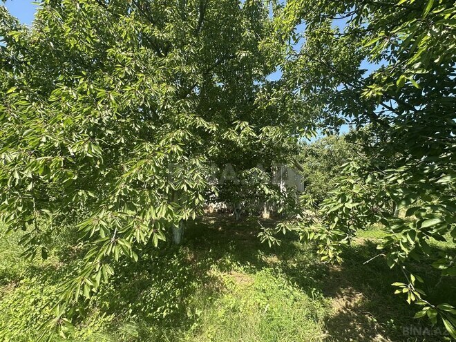 4 otaqlı həyət evi/bağ evi - Xaçmaz - 126 m² (21)
