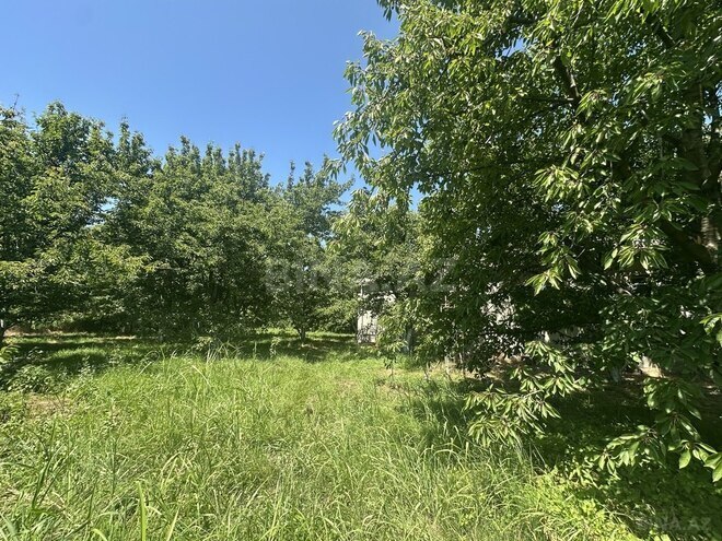 4 otaqlı həyət evi/bağ evi - Xaçmaz - 126 m² (20)