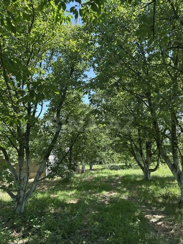 4 otaqlı həyət evi/bağ evi - Xaçmaz - 126 m² (19)