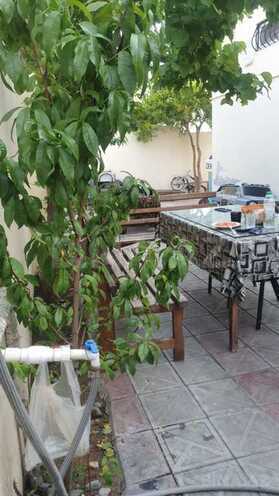 5 otaqlı həyət evi/bağ evi - Badamdar q. - 230 m² (14)