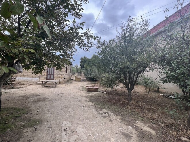 Torpaq - Mehdiabad q. - 10 sot (8)