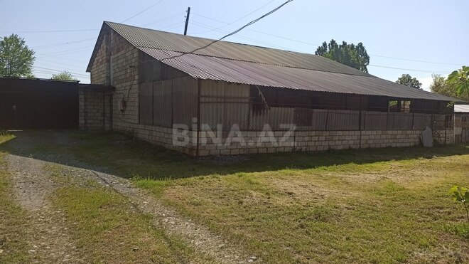 3 otaqlı həyət evi/bağ evi - Qəbələ - 90 m² (2)
