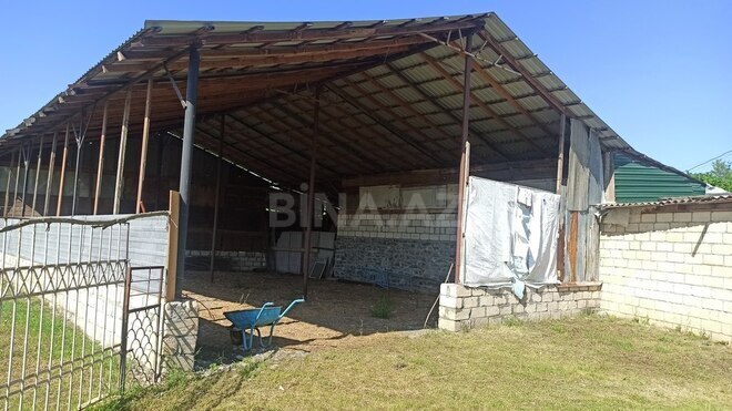 3 otaqlı həyət evi/bağ evi - Qəbələ - 90 m² (3)
