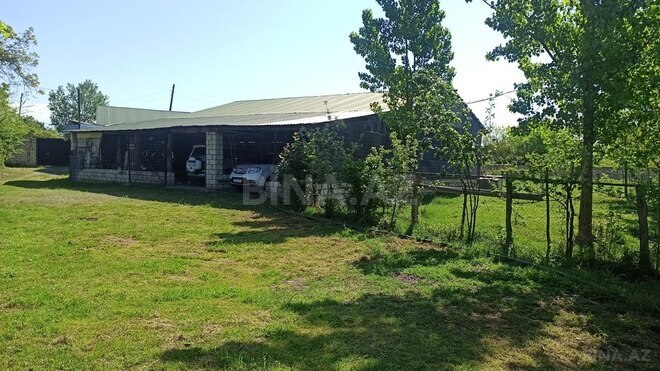 3 otaqlı həyət evi/bağ evi - Qəbələ - 90 m² (5)