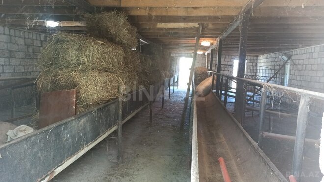 3 otaqlı həyət evi/bağ evi - Qəbələ - 90 m² (12)
