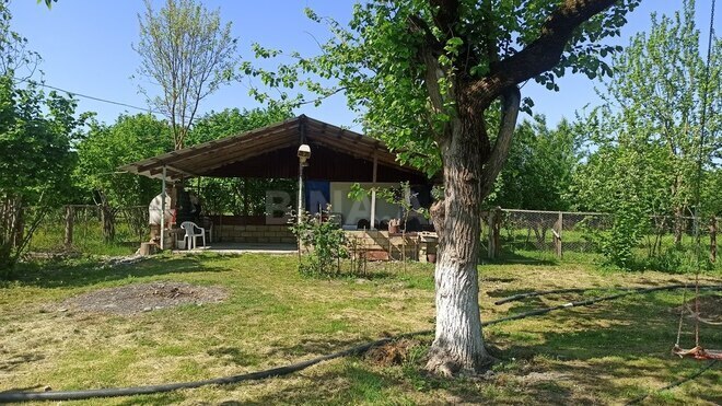 3 otaqlı həyət evi/bağ evi - Qəbələ - 90 m² (6)