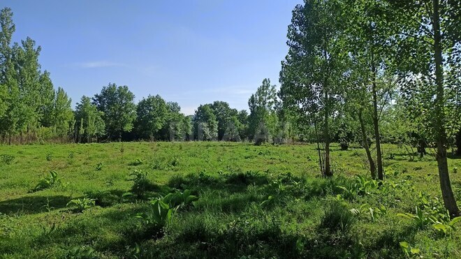3 otaqlı həyət evi/bağ evi - Qəbələ - 90 m² (10)