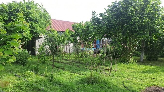 3 otaqlı həyət evi/bağ evi - Qəbələ - 90 m² (18)