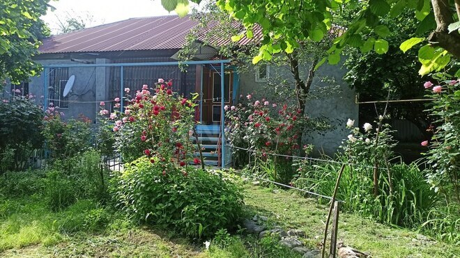 3 otaqlı həyət evi/bağ evi - Qəbələ - 90 m² (15)