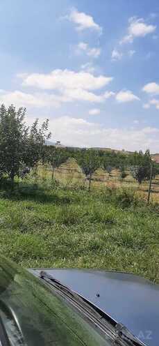 Объект - пос. Мамедли - 170000 м² (4)