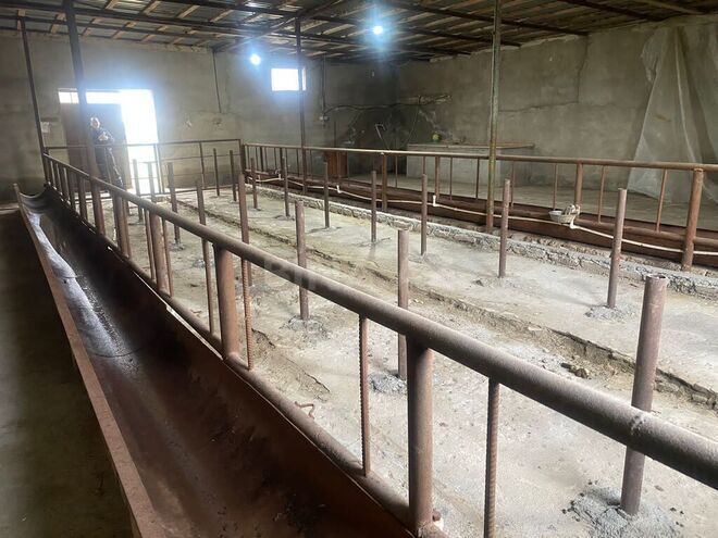 Объект - пос. Мамедли - 170000 м² (2)