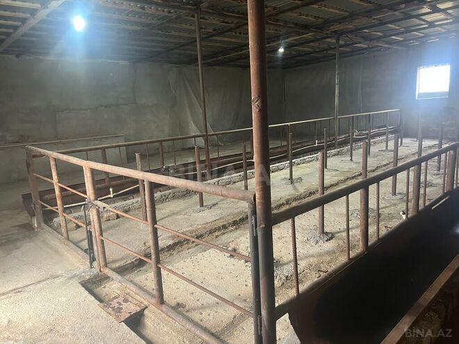 Объект - пос. Мамедли - 170000 м² (3)
