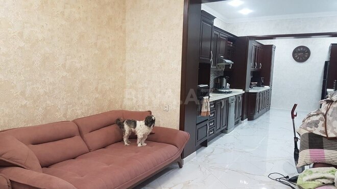 7 otaqlı həyət evi/bağ evi - Badamdar q. - 400 m² (10)