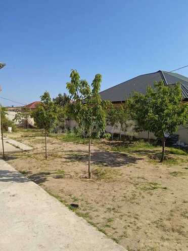 3 otaqlı həyət evi/bağ evi - Novxanı q. - 120 m² (11)