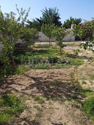 3 otaqlı həyət evi/bağ evi - Novxanı q. - 120 m² (8)