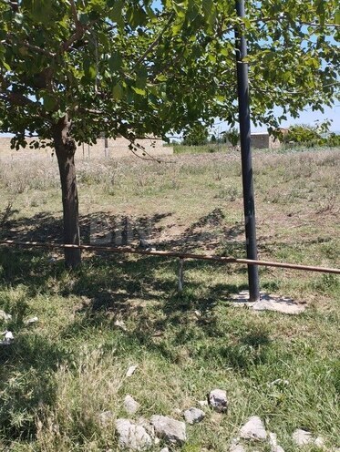 Участок - Товуз - 16 сот (4)