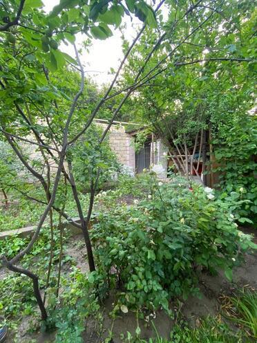 3 otaqlı həyət evi/bağ evi - Biləcəri q. - 90 m² (3)