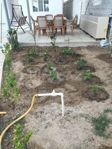 4 otaqlı həyət evi/bağ evi - Albalılıq q. - 100 m² (7)