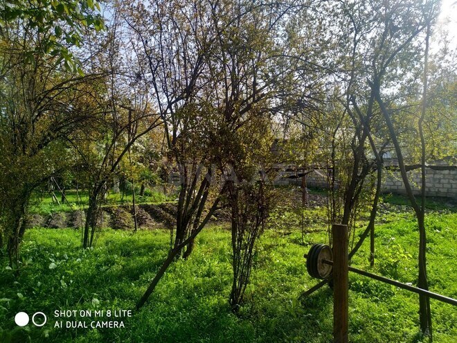 Torpaq - Ağdaş - 6 sot (8)
