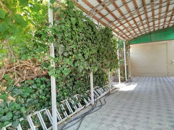 10 otaqlı həyət evi/bağ evi - Novxanı q. - 400 m² (28)
