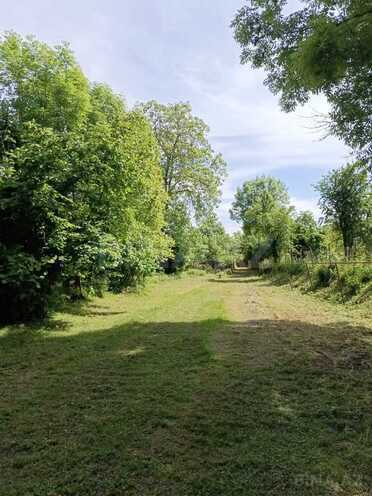 4 otaqlı həyət evi/bağ evi - Qəbələ - 160 m² (2)