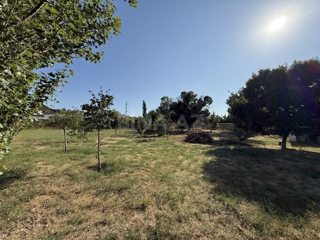 7 otaqlı həyət evi/bağ evi - Novxanı q. - 250 m² (25)