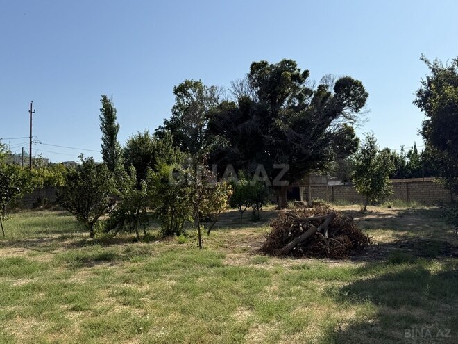 7 otaqlı həyət evi/bağ evi - Novxanı q. - 250 m² (24)