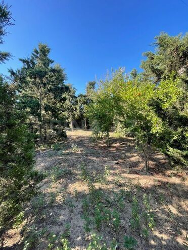 9 otaqlı həyət evi/bağ evi - Şüvəlan q. - 580 m² (9)