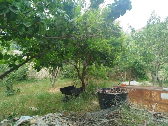 4 otaqlı həyət evi/bağ evi - Maştağa q. - 100 m² (17)