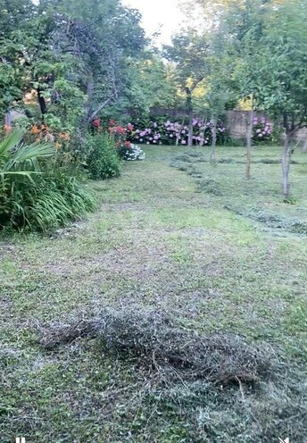5 otaqlı həyət evi/bağ evi - Qax - 150 m² (11)