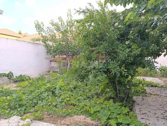 4 otaqlı həyət evi/bağ evi - Pirşağı q. - 100 m² (8)