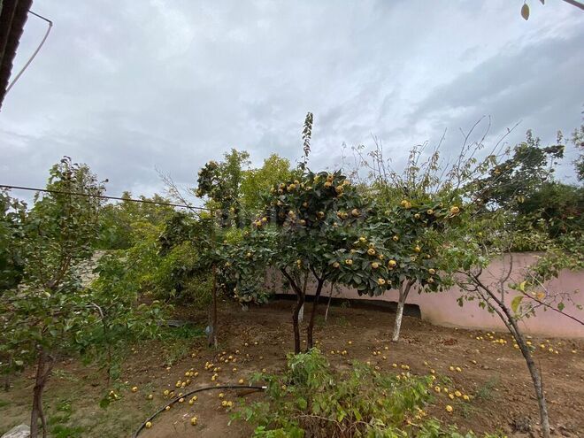 4 otaqlı həyət evi/bağ evi - Qala q. - 130 m² (16)