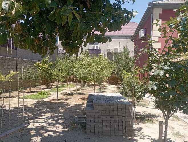 7 otaqlı həyət evi/bağ evi - Yeni Ramana q. - 200 m² (5)