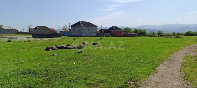 Участок - Ленкорань - 6 сот (2)