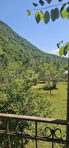 5 otaqlı həyət evi/bağ evi - Qəbələ - 167 m² (2)