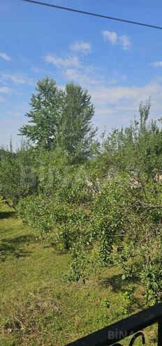 5 otaqlı həyət evi/bağ evi - Qəbələ - 167 m² (1)